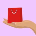 Empty whopping bag in female hand. Shopping concept for your design. Royalty Free Stock Photo