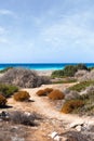 Empty wild beach on the Aegean coast with colorful bushes in the foreground. Unusual space seascape