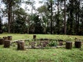 Empty wild camp fire in the forest with wood natural seats in spring. Concept of corona virus epidemic situation. Campground Royalty Free Stock Photo