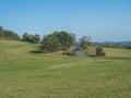 Empty winding asphalt road at late summer green meadow with tree and forest and clear blue sky, natural background Royalty Free Stock Photo