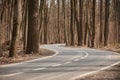 Empty Winding Road in the forest at spring time Royalty Free Stock Photo