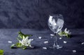 Empty wine glass with ice cubes on a dark background, with apple tree flowers. Copy space for text, low key