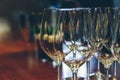 Empty wine glasses close-up Royalty Free Stock Photo