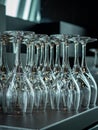 Empty wine glasses in a row on the bar table. Royalty Free Stock Photo