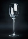 Empty wineglass Royalty Free Stock Photo