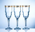 Empty wineglass Royalty Free Stock Photo