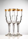 Empty wineglass Royalty Free Stock Photo