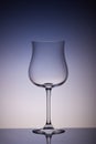 Empty glass for wine on multicolor gradient background. Wineglass