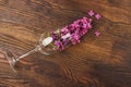 Empty wineglass with violet lilacs Royalty Free Stock Photo