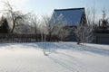 Empty winter garden