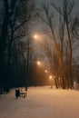 Empty winter park with street lamps at night. Winter landscape. Snowfall in the city. Bench on the alley in evening park Royalty Free Stock Photo