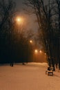 Empty winter park with street lamps at night. Winter landscape. Snowfall in the city. Bench on the alley in evening park Royalty Free Stock Photo