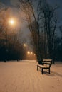 Empty winter park with street lamps at night. Winter landscape. Snowfall in the city. Bench on the alley in evening park