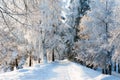 Empty winter road with snow covered landscape Fabulous misty view Frosty morning. Cold weather background concept Royalty Free Stock Photo