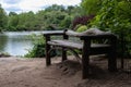 Empty Bench along The Pond at Central Park in New York City during Spring Royalty Free Stock Photo