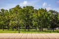 Empty wood plank table top with big trees, green grass, sky and clouds with blur background - For product display. Royalty Free Stock Photo