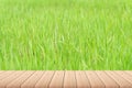 Empty wood plank table top with green rice plant, fresh spring rice fields blur background. For product display.