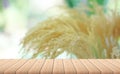 Empty wood plank table top with yellow Rice husk or grains with blur background. Royalty Free Stock Photo