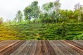 Empty wood table and blurredtea plantation landscape at morning