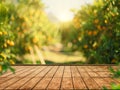 Empty wood table with free space over orange trees, orange field background. For product display montage Royalty Free Stock Photo