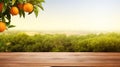 Empty wood table with free space over orange trees, orange field background. For product display montage Royalty Free Stock Photo
