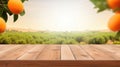Empty wood table with free space over orange trees, orange field background. For product display montage Royalty Free Stock Photo