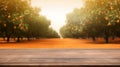 Empty wood table with free space over orange trees, orange field background. For product display montage. Generative AI Royalty Free Stock Photo