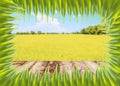 Empty wood table over blurred green nature with bokeh background Royalty Free Stock Photo
