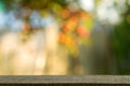 Wood table over blurred trees with bokeh background Royalty Free Stock Photo