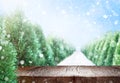 Empty wood table over forest with fir trees with snow. Template for product display. Christmas or winter background with Royalty Free Stock Photo