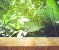 Empty of wood table top on beautiful tropical leaf from garden