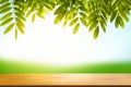Empty wood table top on blur abstract green from garden house on Royalty Free Stock Photo
