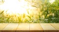 Empty of wood table top on blur of fresh green abstract from garden Royalty Free Stock Photo