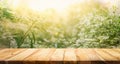 Empty of wood table top on blur of fresh green abstract from garden Royalty Free Stock Photo