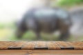 Empty wood table top and blur of rhino background/selective focus