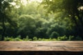 Empty wood table top and blurred garden with bokeh and sunlight. Product and display. Generative ai