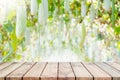 Empty wood table top and blurred green tree and fruit vegetable in agricultural farms. background - can used for display or Royalty Free Stock Photo