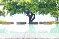 Empty wood table top and blurred swimming pool in tropical resort in summer banner background - can used for display or montage Royalty Free Stock Photo