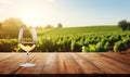 Empty wood table top with a glass of white wine on blurred vineyard landscape background. Royalty Free Stock Photo