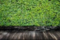 Empty wood table top on grass wall background.