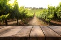 Empty wood table in a vineyard with blurred background. ai generative illustration Royalty Free Stock Photo