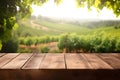Empty wood table in a vineyard, blurred background, ai generative illustration Royalty Free Stock Photo