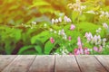 Empty wood texture board floor shelf with flower in nature background with copy space add text Royalty Free Stock Photo