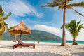 Empty wooden beach chairs on the beach with coconut tree Royalty Free Stock Photo