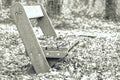 Empty wooden bench in autumn public park Royalty Free Stock Photo