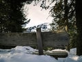 Empty wooden bench covered in snow in a pine forest Royalty Free Stock Photo