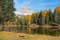 Empty wooden bench faces the breathtaking Lago d\'Antorno and the Dolomites