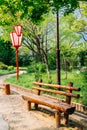 Empty wooden bench with green trees at Kochi Castle park in Kochi, Shikoku, Japan Royalty Free Stock Photo