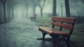 Empty Wooden Bench in a Misty Park Royalty Free Stock Photo