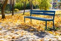 Empty wooden bench near path in park in autumn Royalty Free Stock Photo